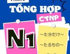 Cấu trúc ngữ pháp thường dùng trong đề thi JLPT N1 (Phần 2)